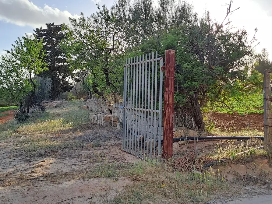 Immagine 15 di Terreno agricolo in vendita  in Via dei Gladioli a Quartucciu