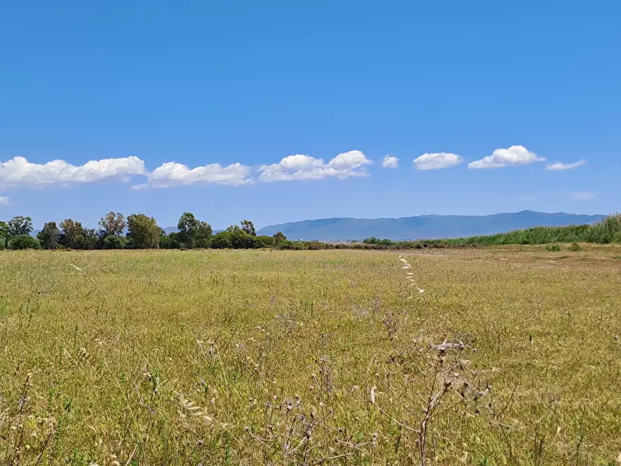 Immagine 11 di Terreno agricolo in vendita  a Quartu Sant'elena