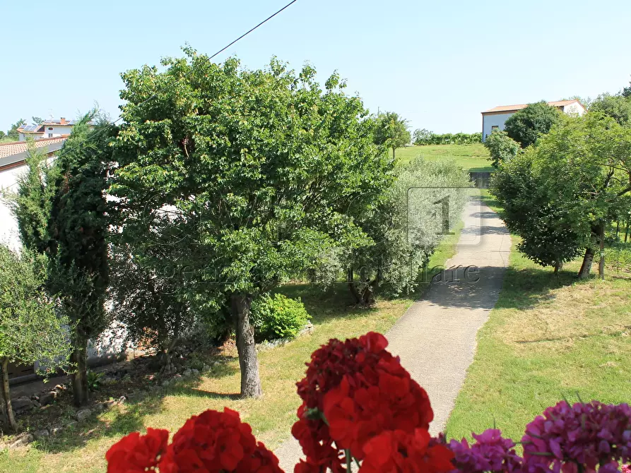 Immagine 31 di Villa in vendita  a Vicenza