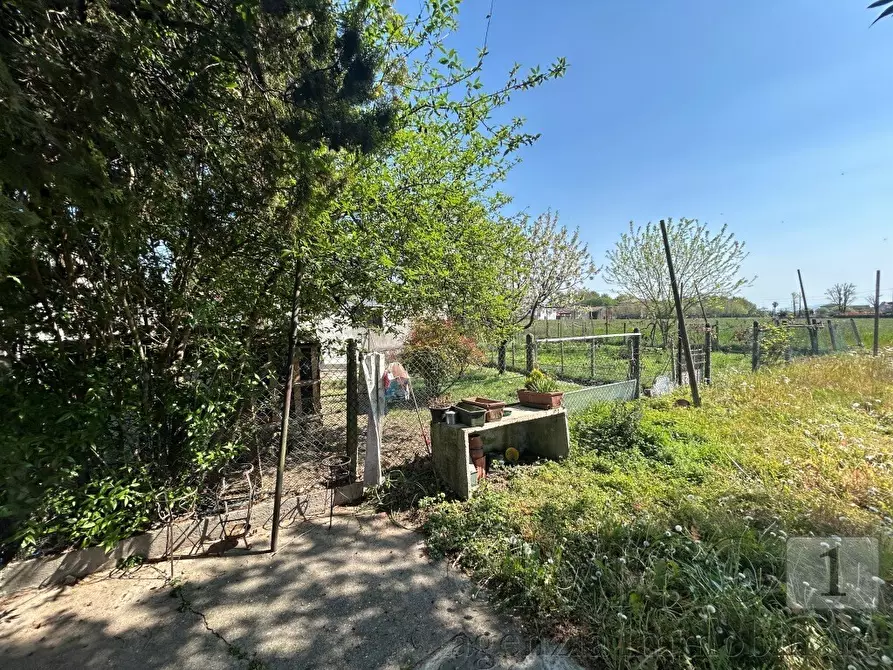 Immagine 3 di Casa indipendente in vendita  in Via Spine 85 a Monticello Conte Otto