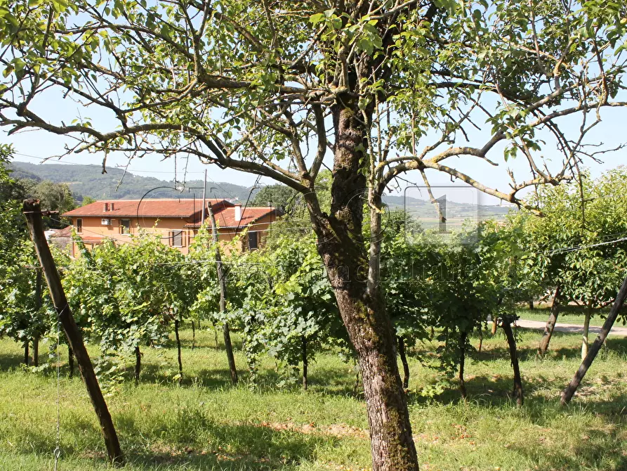 Immagine 2 di Villa in vendita  a Vicenza