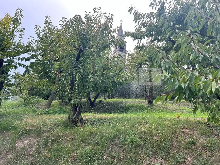 Immagine 18 di Terreno agricolo in vendita  in Via Castellaro a Castegnero