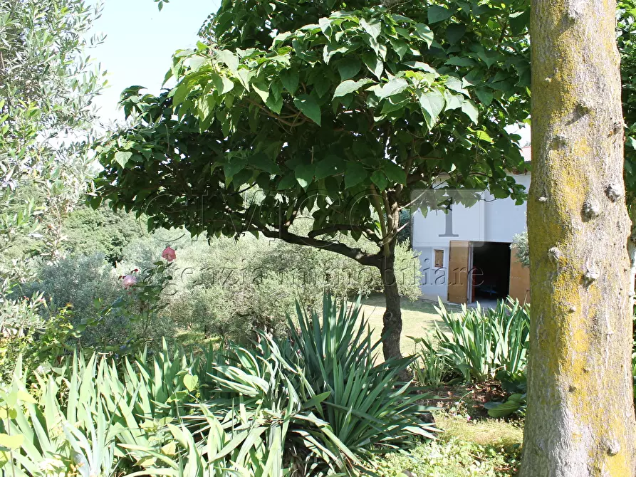 Immagine 27 di Villa in vendita  a Vicenza
