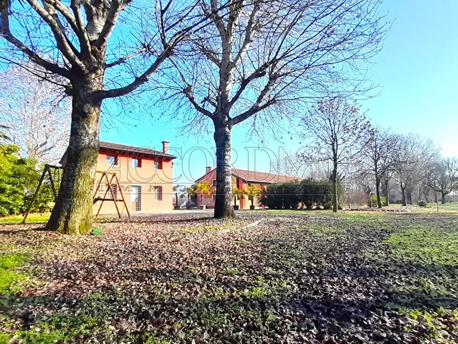 Immagine 10 di Bar / Ristorante in affitto  in Via Riccardo Riporti 8 a Piazzola Sul Brenta