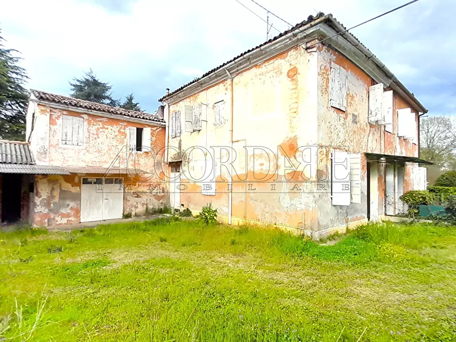 Immagine 1 di Casa trifamiliare in vendita  a Piazzola Sul Brenta