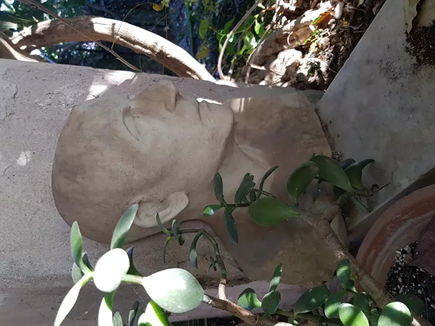 Immagine 62 di Villa in vendita  in Via Milazzo 65 a Carrara