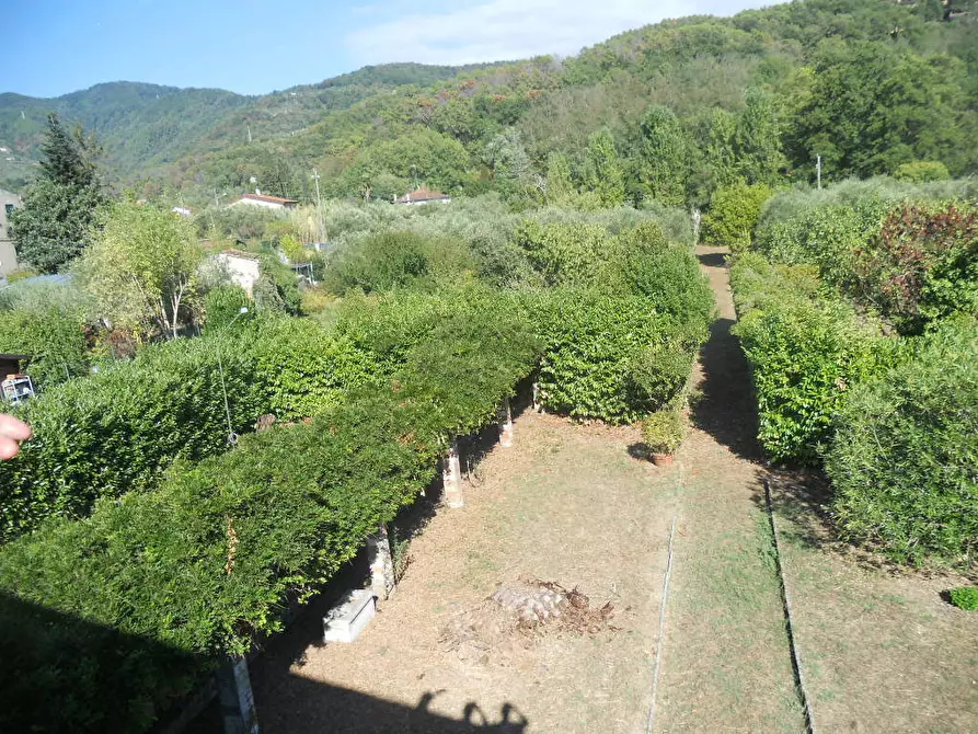 Immagine 58 di Rustico / casale in vendita  a Castelnuovo Magra