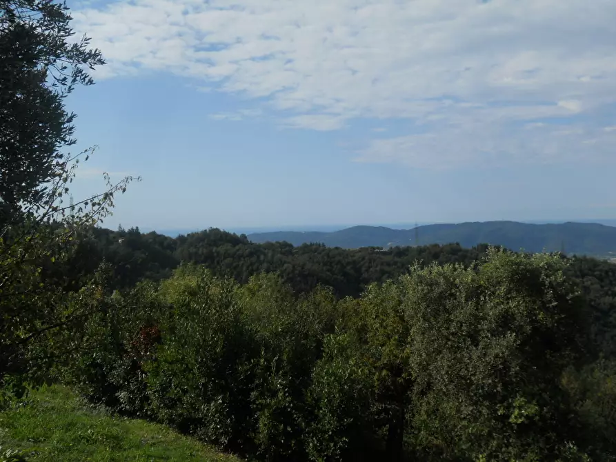 Immagine 5 di Terreno agricolo in vendita  in Via Alta a Sarzana