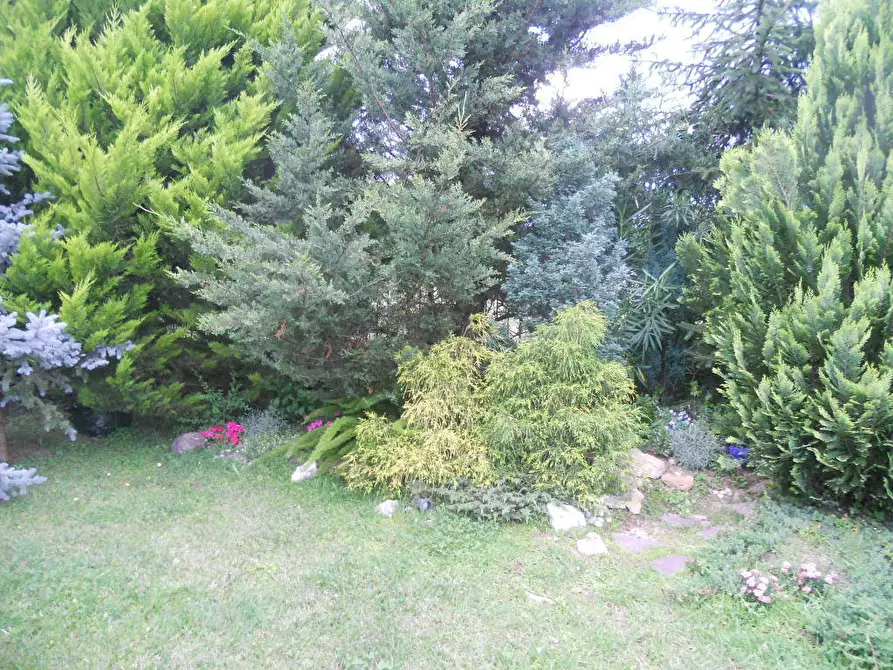 Immagine 5 di Casa semindipendente in vendita  in Via Caffaggiola 37 a Ortonovo