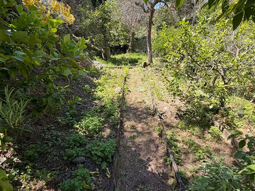 Immagine 29 di Terratetto in vendita  in Via Sandro Pertini 4 a Ortonovo