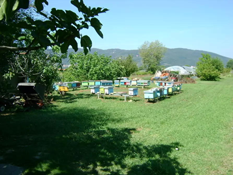 Immagine 13 di Villa in vendita  in Via Margubbio 15 a Ameglia