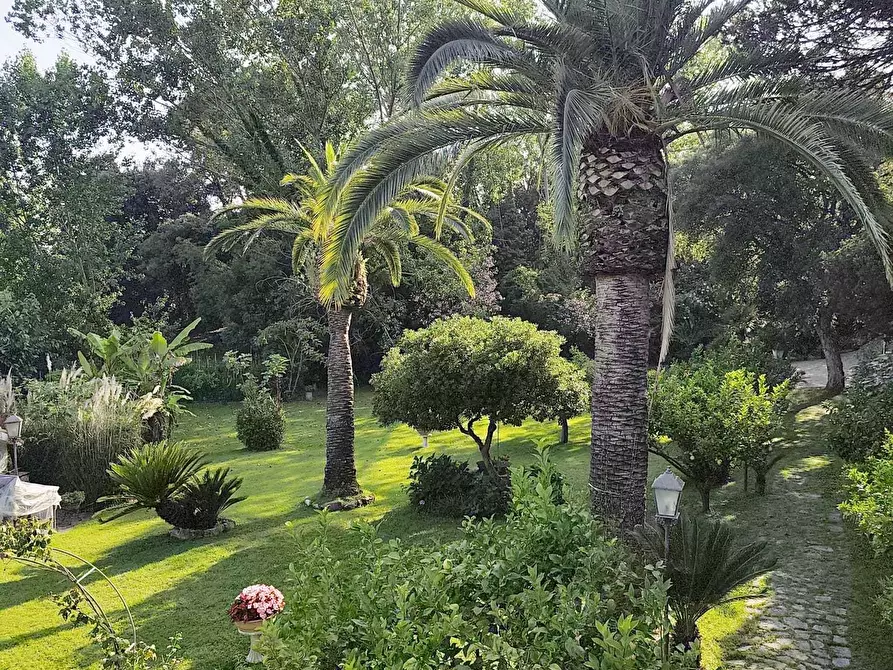 Immagine 18 di Casa bifamiliare in vendita  in Via Caterattino 30 a Sabaudia