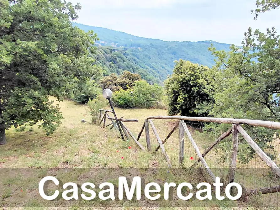 Immagine 5 di Terreno agricolo in vendita  a Rocca Di Papa