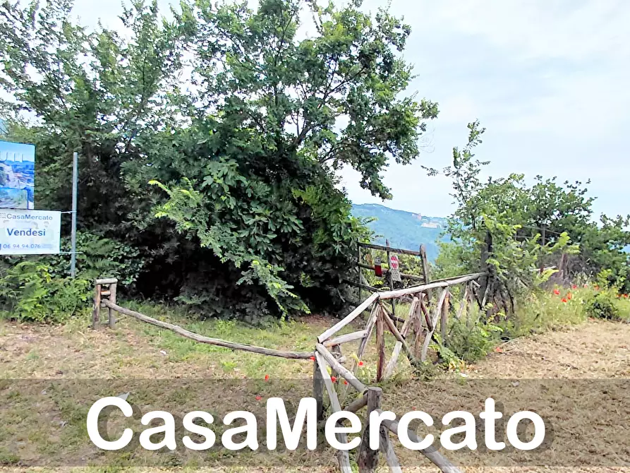 Immagine 6 di Terreno agricolo in vendita  a Rocca Di Papa