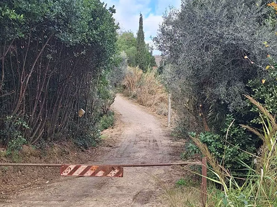 Immagine 25 di Rustico / casale in vendita  a San Benedetto Del Tronto