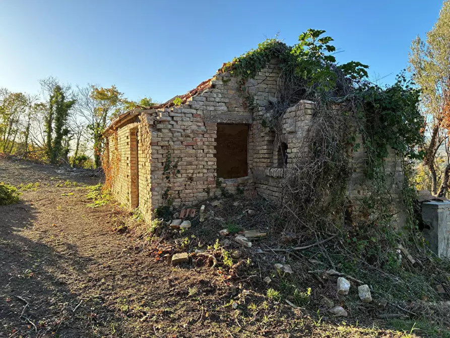 Immagine 4 di Casa indipendente in vendita  a Colonnella