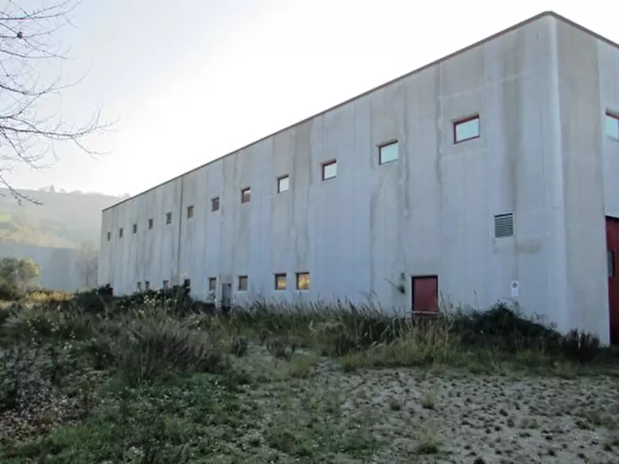 Immagine 1 di Capannone industriale in affitto  a Colonnella