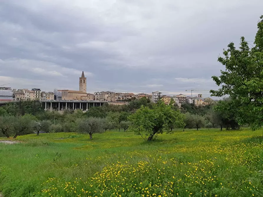Immagine 7 di Terreno edificabile in vendita  a Appignano Del Tronto