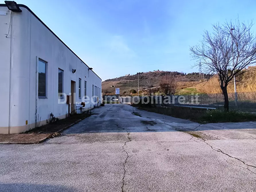 Immagine 2 di Attività artigianale in vendita  a Ascoli Piceno