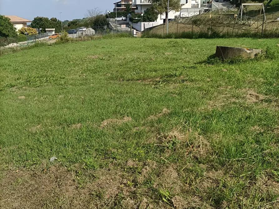 Immagine 6 di Terreno edificabile in vendita  a Acquaviva Picena