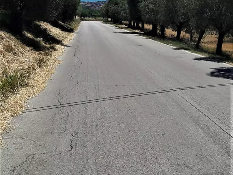 Immagine 14 di Rustico / casale in vendita  in Contrada Civita a Colonnella