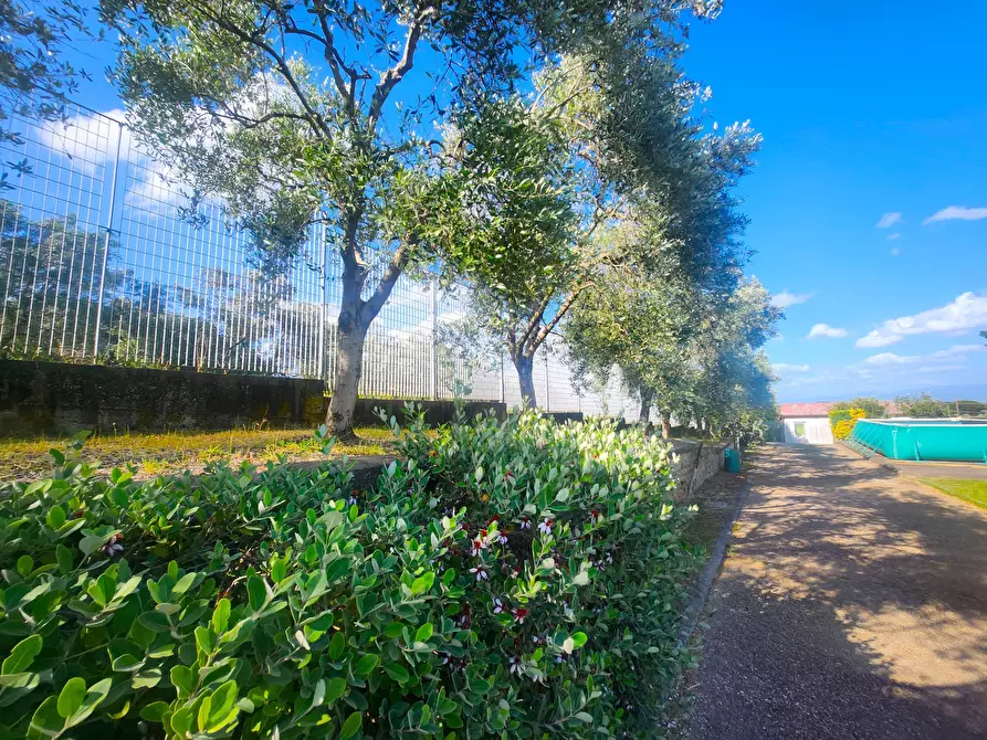 Immagine 12 di Capannone industriale in vendita  a Roma