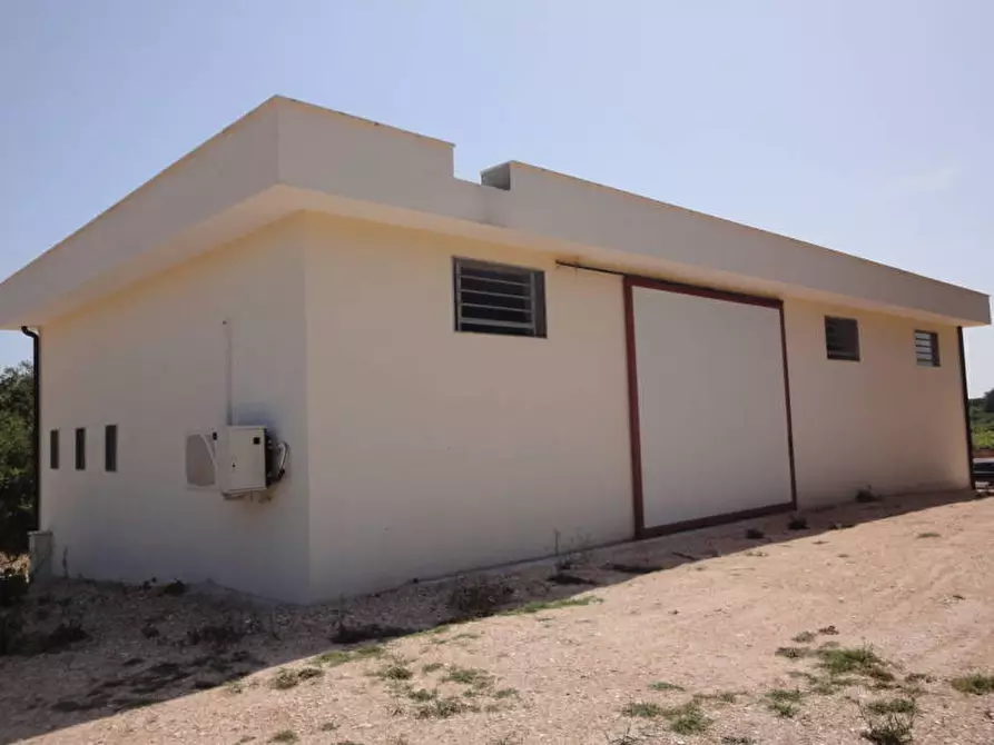 Immagine 38 di Agriturismo in vendita  a Castellana Grotte