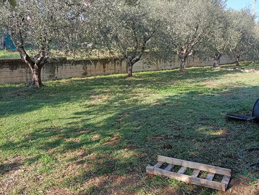 Immagine 31 di Casa indipendente in vendita  a Monteprandone