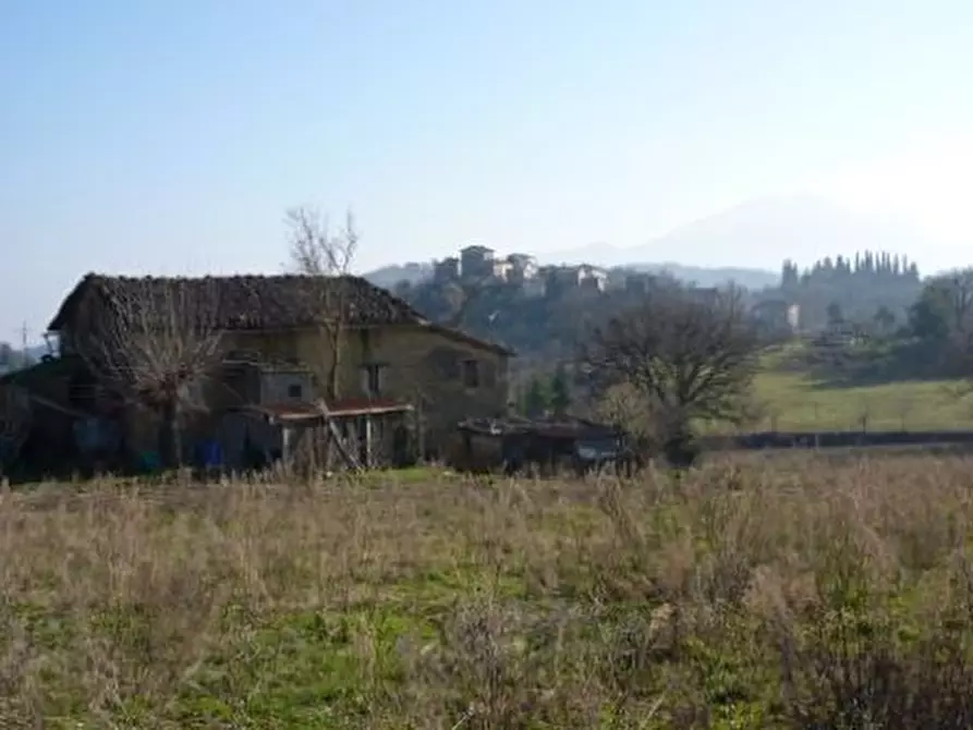 Immagine 9 di Rustico / casale in vendita  in case sparse a Venarotta