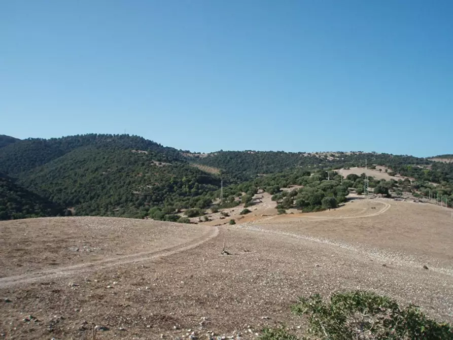 Immagine 4 di Casa indipendente in vendita  in Litoranea Mattinata-Vieste a Mattinata