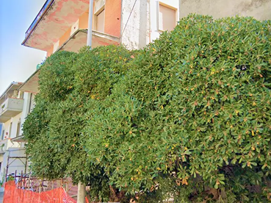 Immagine 1 di Casa indipendente in vendita  a Alba Adriatica