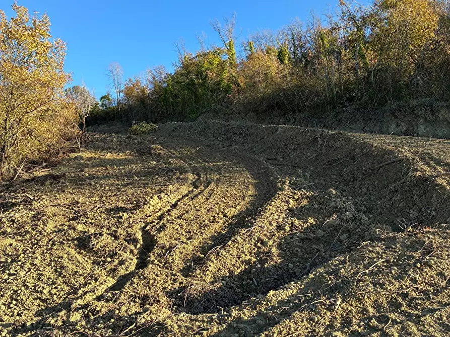 Immagine 18 di Casa indipendente in vendita  a Colonnella