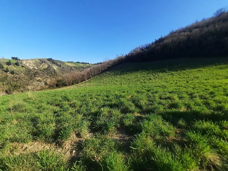 Immagine 4 di Casa indipendente in vendita  in cantina Cocci Grifoni a Ripatransone