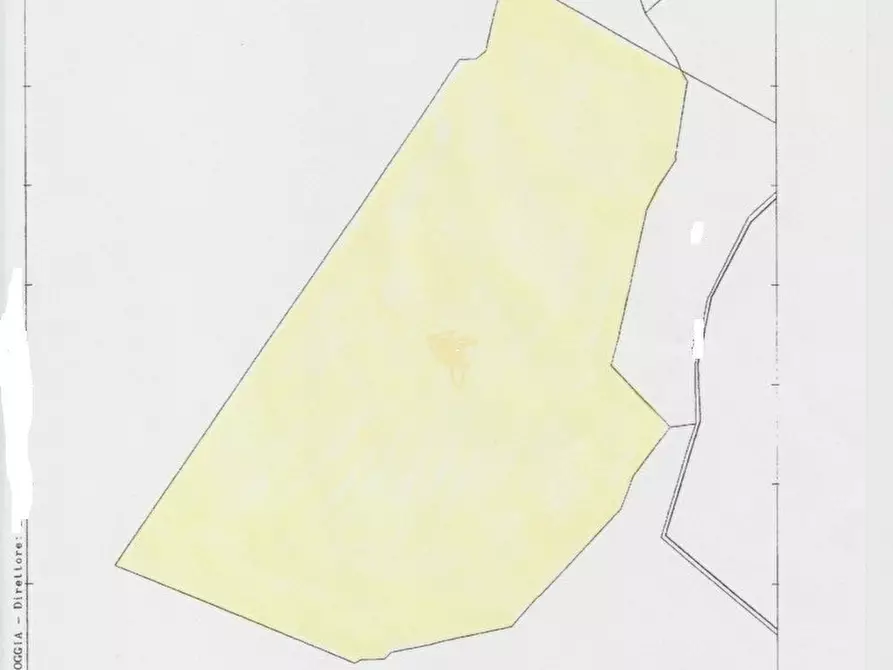 Immagine 22 di Casa indipendente in vendita  in Litoranea Mattinata-Vieste a Mattinata