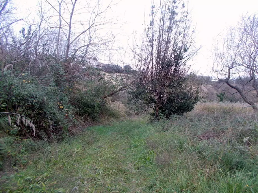 Immagine 17 di Rustico / casale in vendita  a San Benedetto Del Tronto