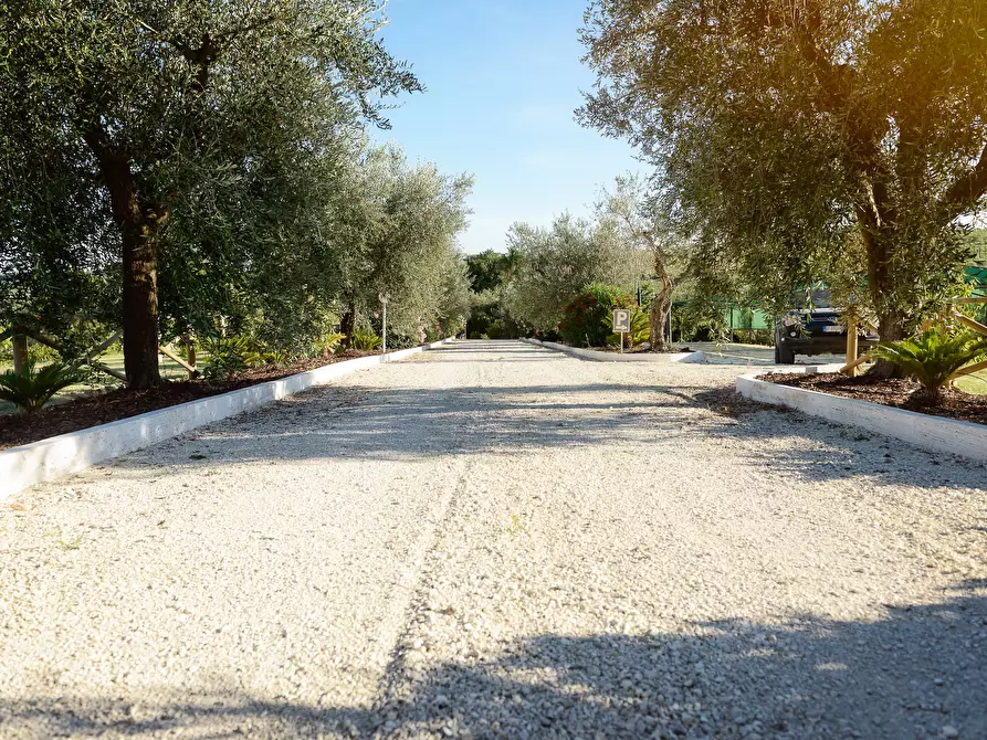 Immagine 17 di Casa indipendente in vendita  a Colonnella