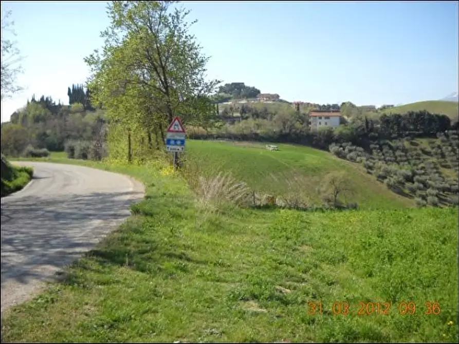 Immagine 6 di Terreno edificabile in vendita  a Castorano