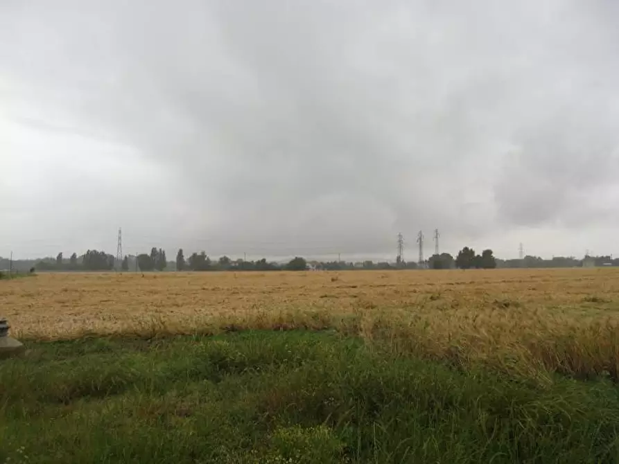 Immagine 2 di Terreno agricolo in vendita  a Falconara Marittima