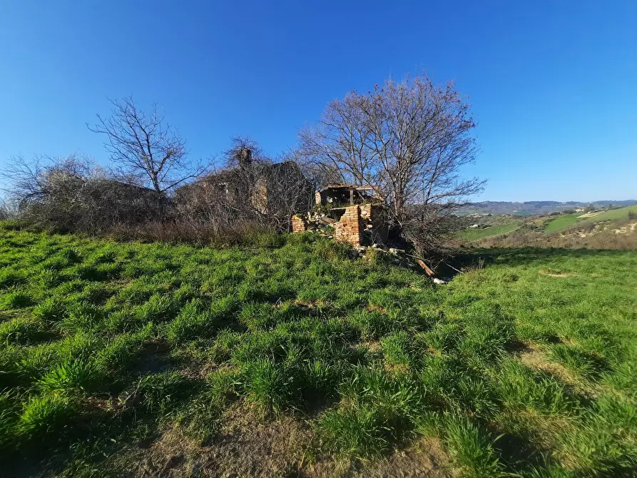 Immagine 10 di Casa indipendente in vendita  in cantina Cocci Grifoni a Ripatransone