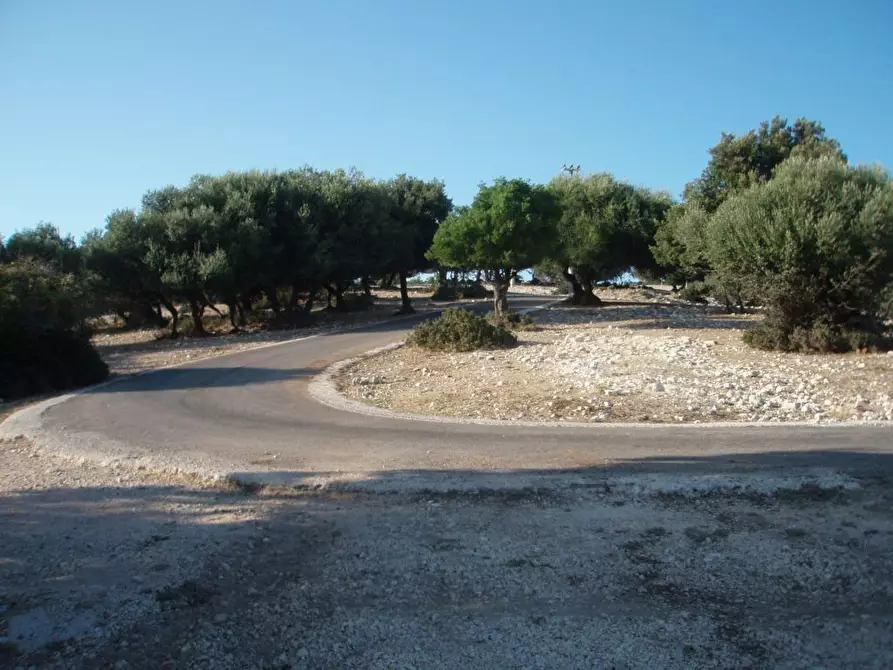 Immagine 10 di Casa indipendente in vendita  in Litoranea Mattinata-Vieste a Mattinata
