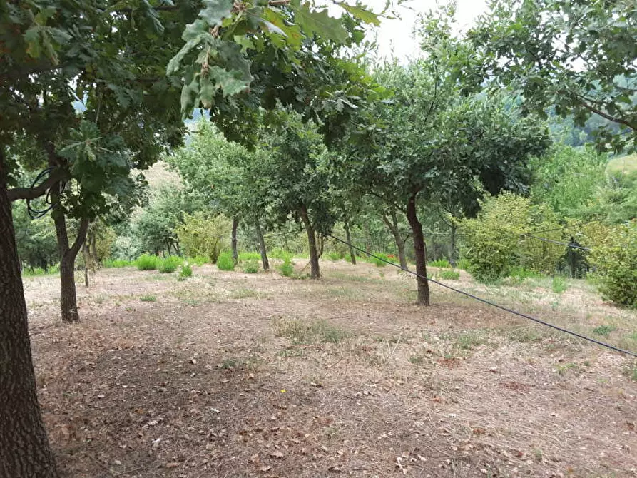 Immagine 9 di Agriturismo in vendita  a Offagna