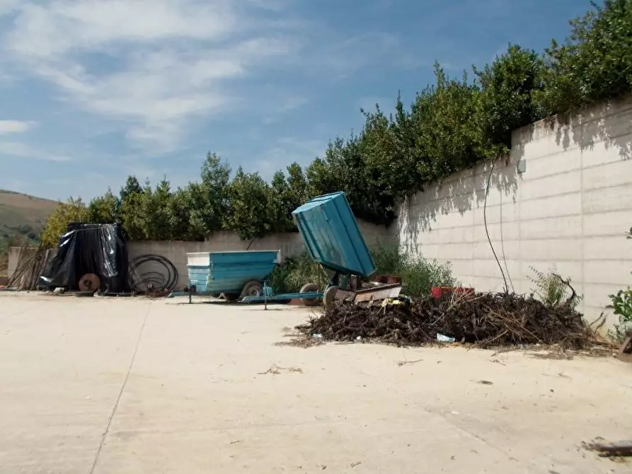 Immagine 15 di Azienda agricola in vendita  a Ripatransone