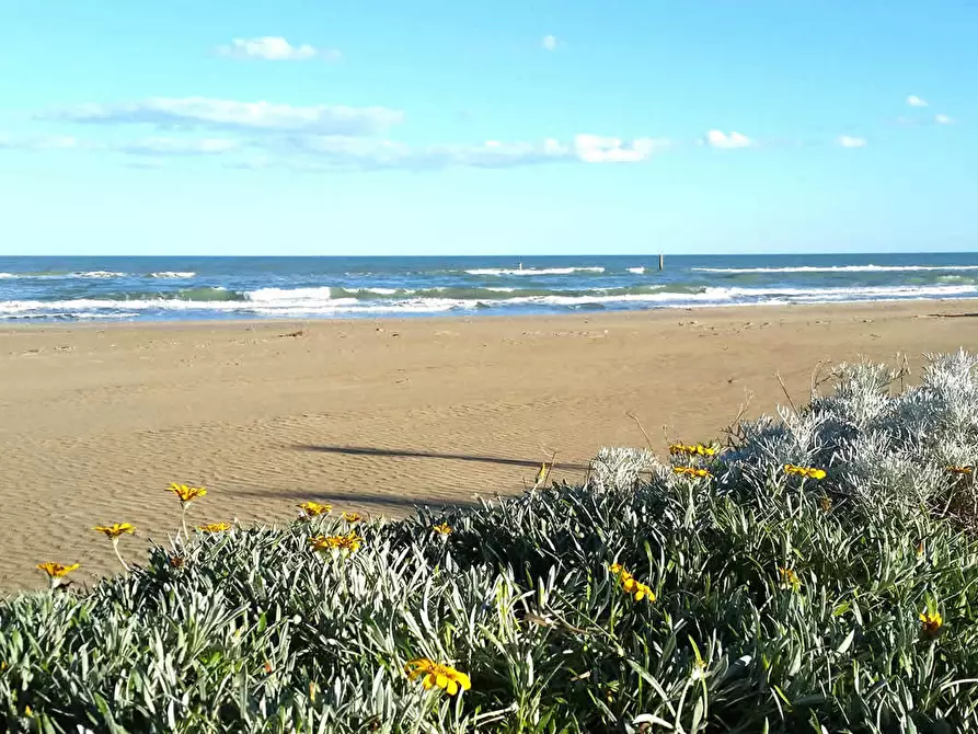 Immagine 2 di Terreno edificabile in vendita  a Martinsicuro