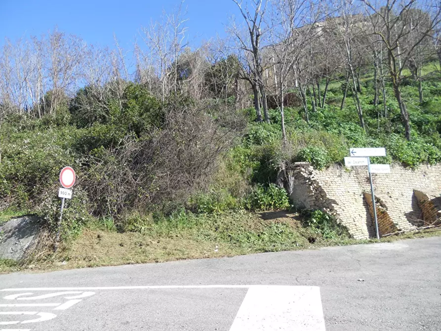 Immagine 6 di Terreno edificabile in vendita  a Colonnella