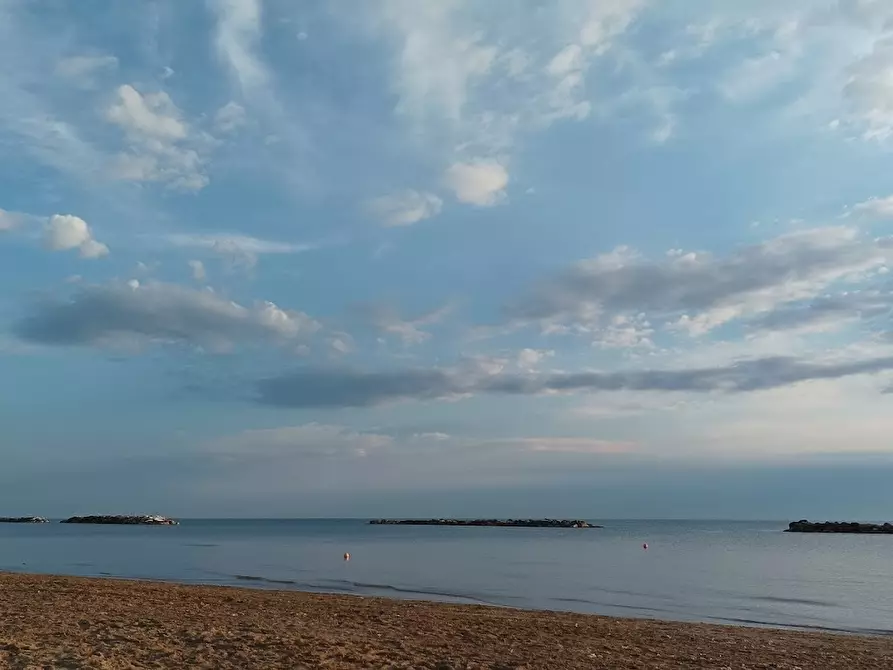 Immagine 18 di Attività commerciale in vendita  a Fano