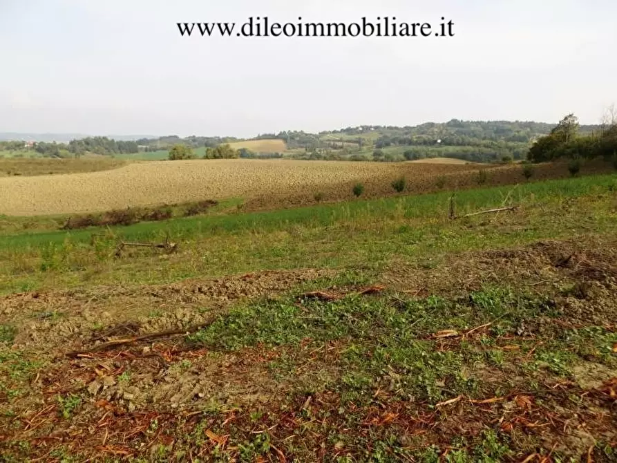 Immagine 10 di Azienda agricola in vendita  a Pesaro