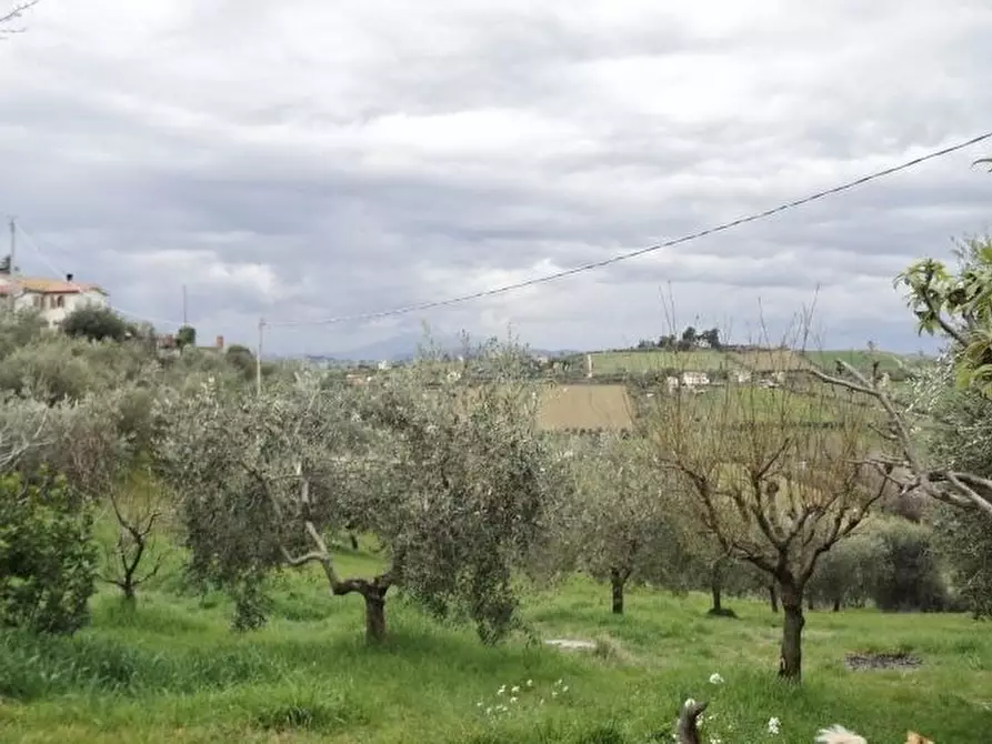 Immagine 18 di Rustico / casale in vendita  a Monsampolo Del Tronto