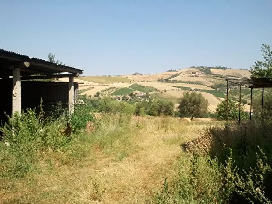 Immagine 9 di Rustico / casale in vendita  a Offida