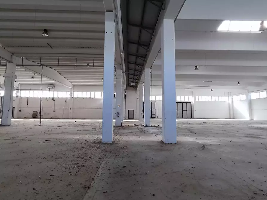 Immagine 11 di Capannone industriale in vendita  in via dell'industria 5-7 a Castelplanio