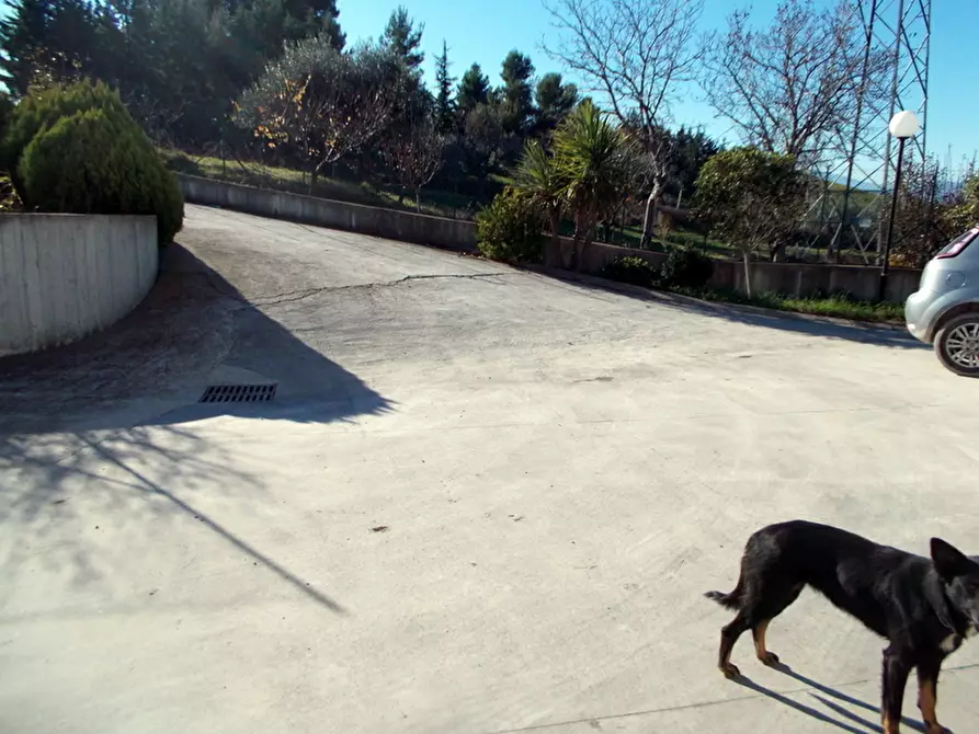 Immagine 12 di Laboratorio in vendita  a Maltignano